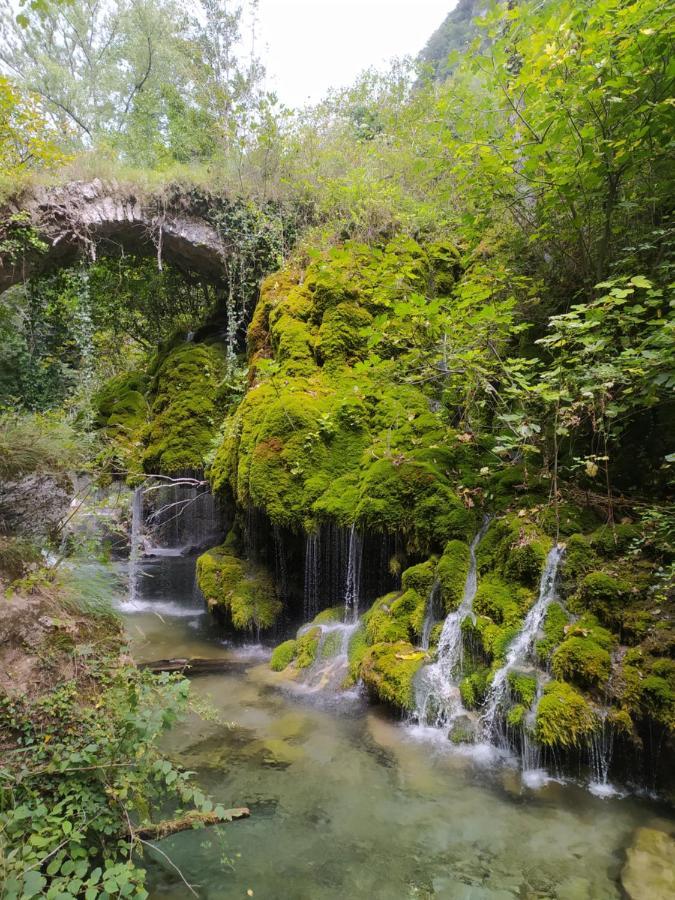 Tenuta Vallina - Golfo Di Policastro Tortorella Εξωτερικό φωτογραφία